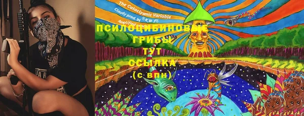 MESCALINE Ельня