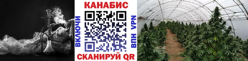 Купить закладки  Эртиль  Шишки марихуана сатива 